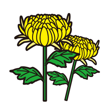 11月